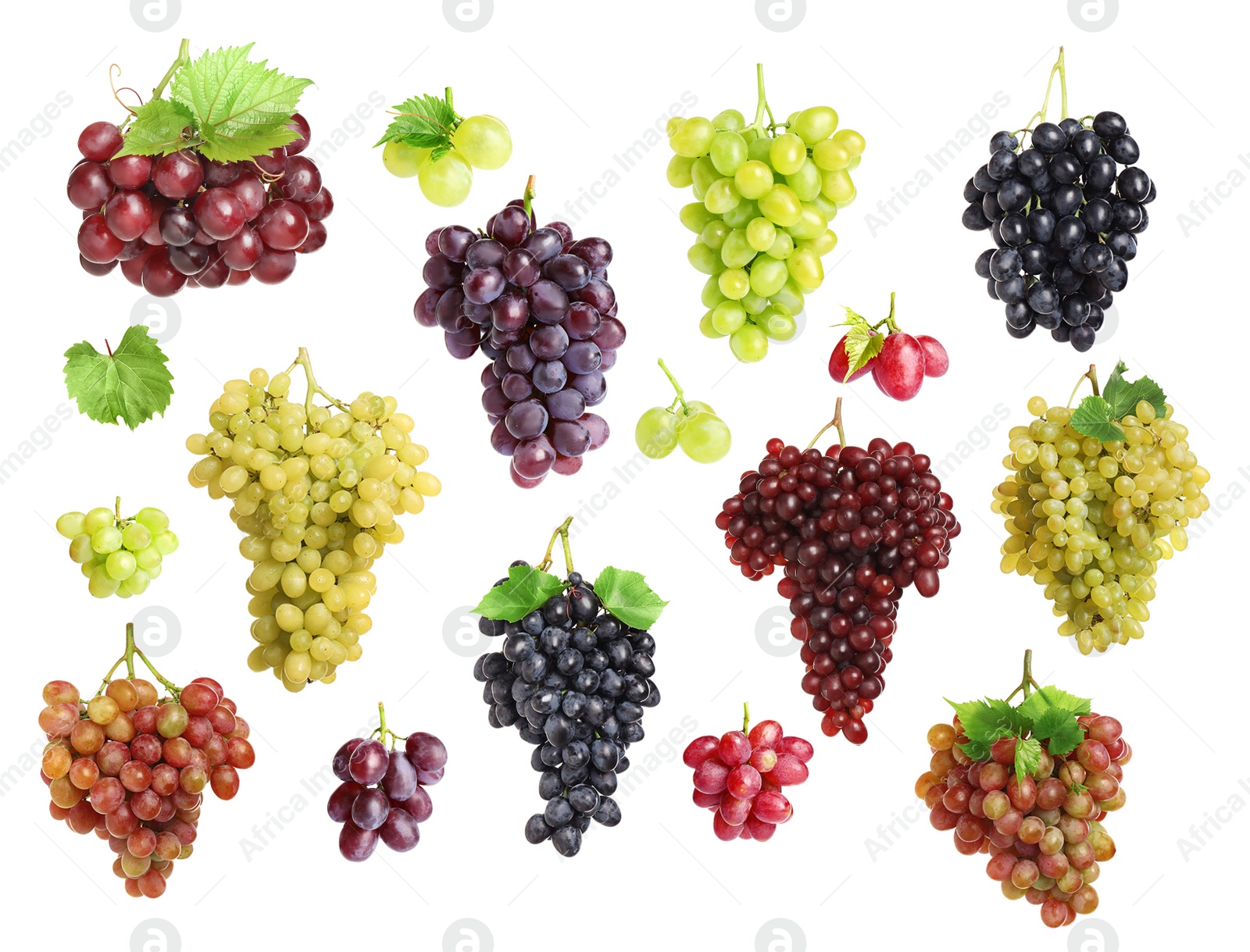 Image of Set with different fresh ripe grapes on white background