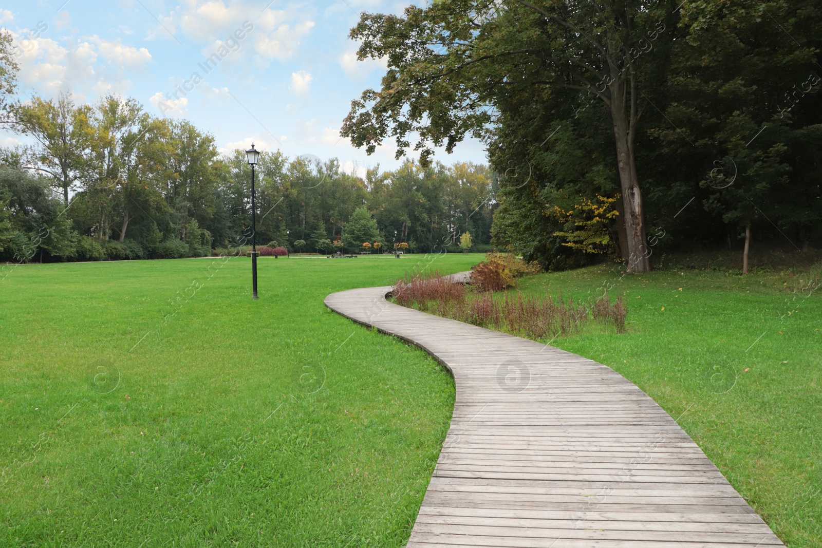 Photo of Beautiful public city park with pathway and green grass