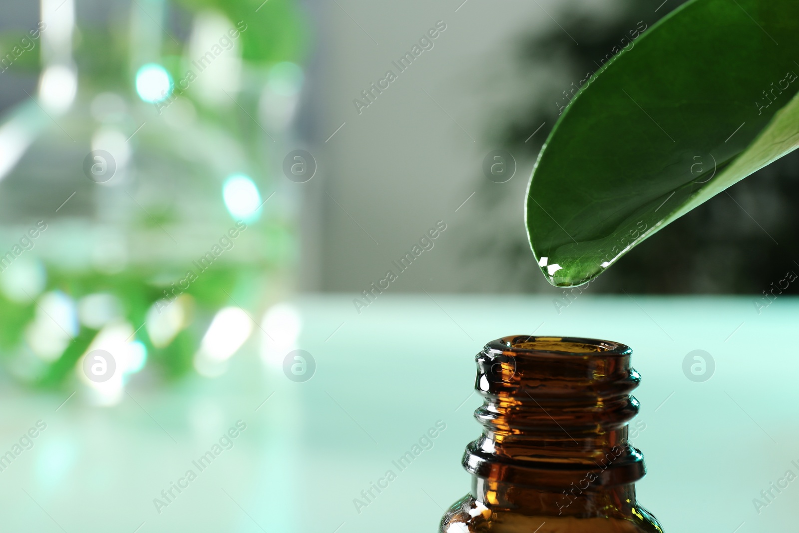 Photo of Clear drop falling from leaf into small bottle on blurred background, closeup with space for text. Plant chemistry