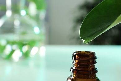 Photo of Clear drop falling from leaf into small bottle on blurred background, closeup with space for text. Plant chemistry