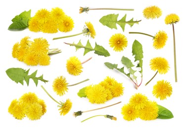 Set with beautiful yellow dandelions on white background