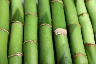 Pieces of beautiful wet green bamboo stems as background, closeup