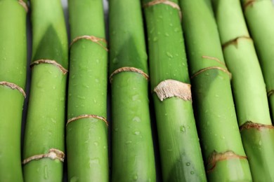 Photo of Pieces of beautiful wet green bamboo stems as background, closeup