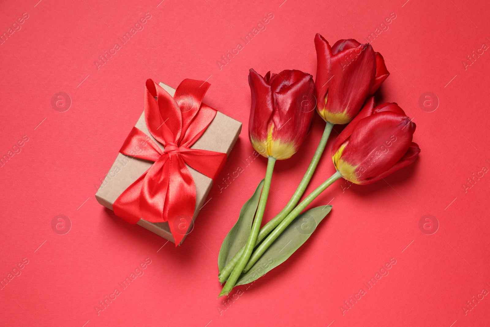 Photo of Beautiful gift box and tulips on red background, flat lay
