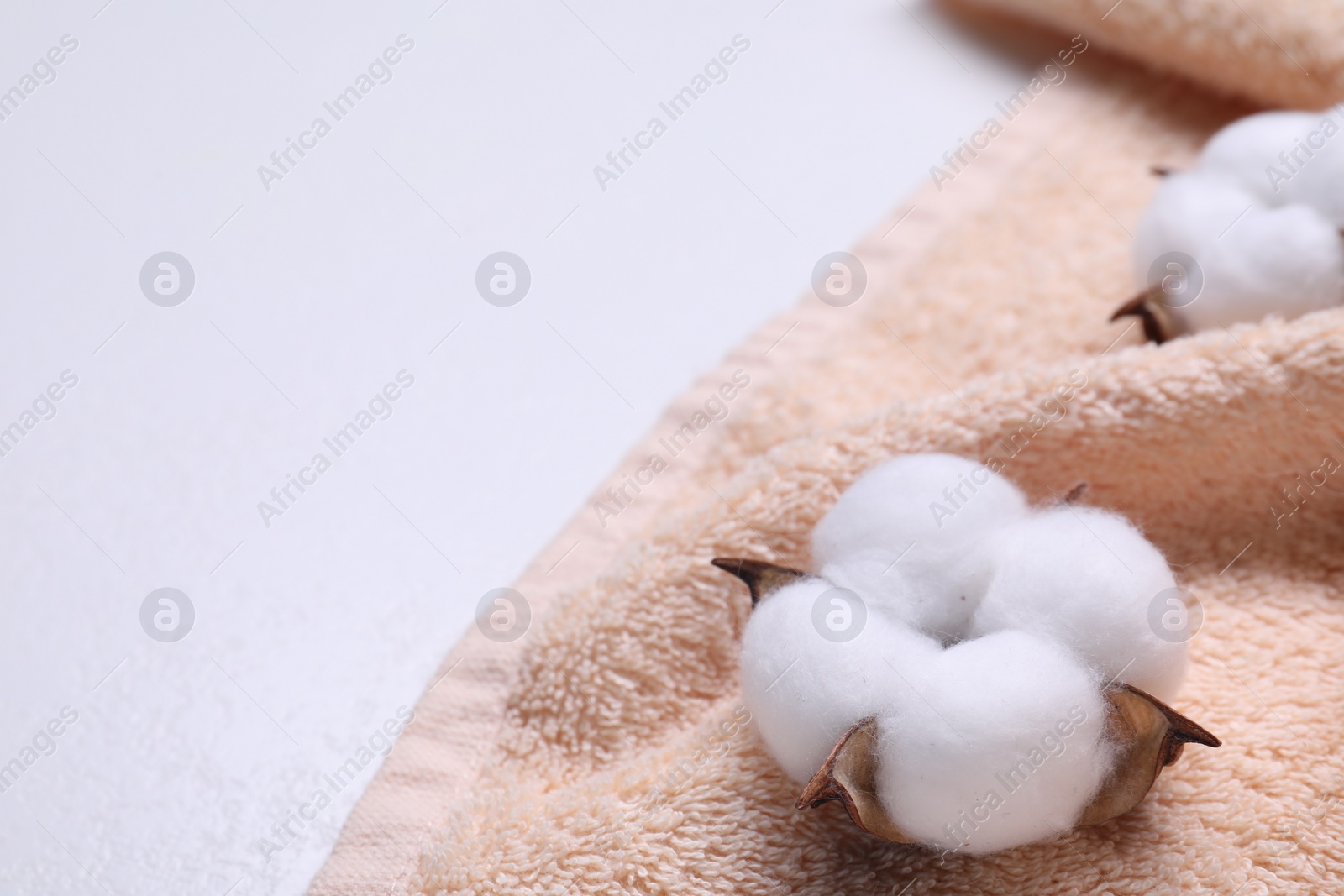 Photo of Fluffy cotton flowers and beige terry towel on white background, closeup. Space for text