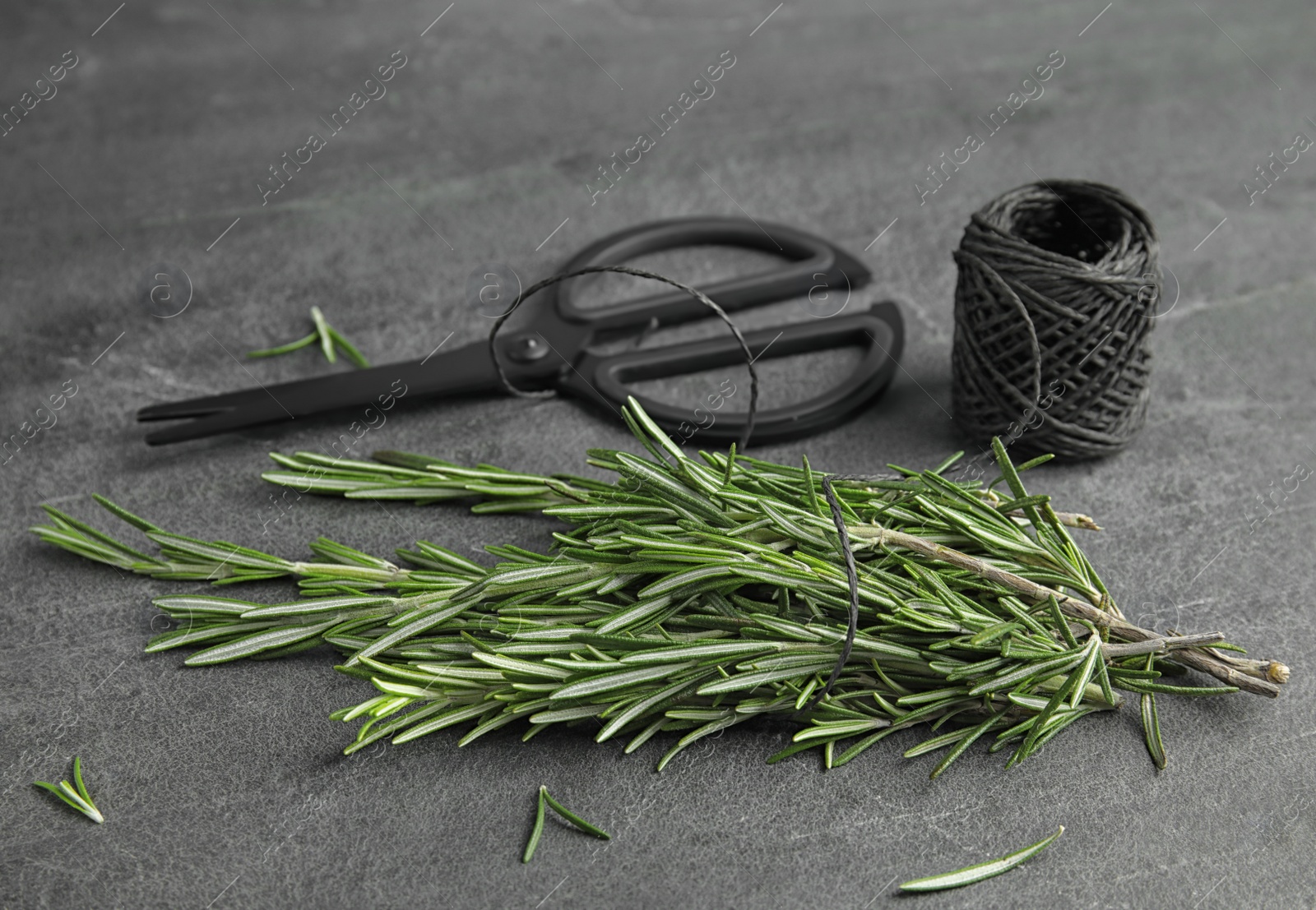 Photo of Fresh rosemary twigs, twine and scissors on grey table