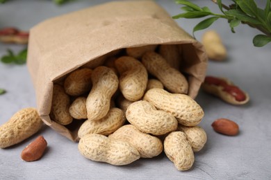 Paper bag with fresh unpeeled peanuts on grey table, closeup