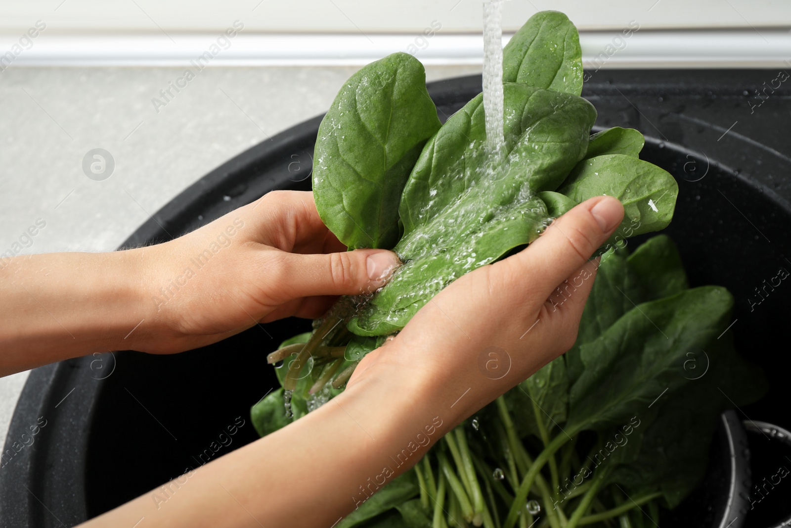 Photo of Woman washing fresh green healthy spinach in sink, closeup