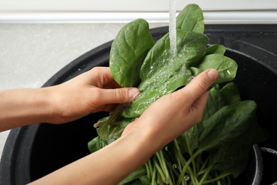 Photo of Woman washing fresh green healthy spinach in sink, closeup