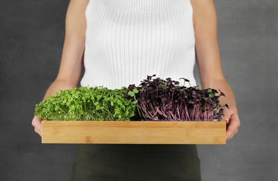Photo of Woman with wooden crate of different fresh microgreens on grey background, closeup