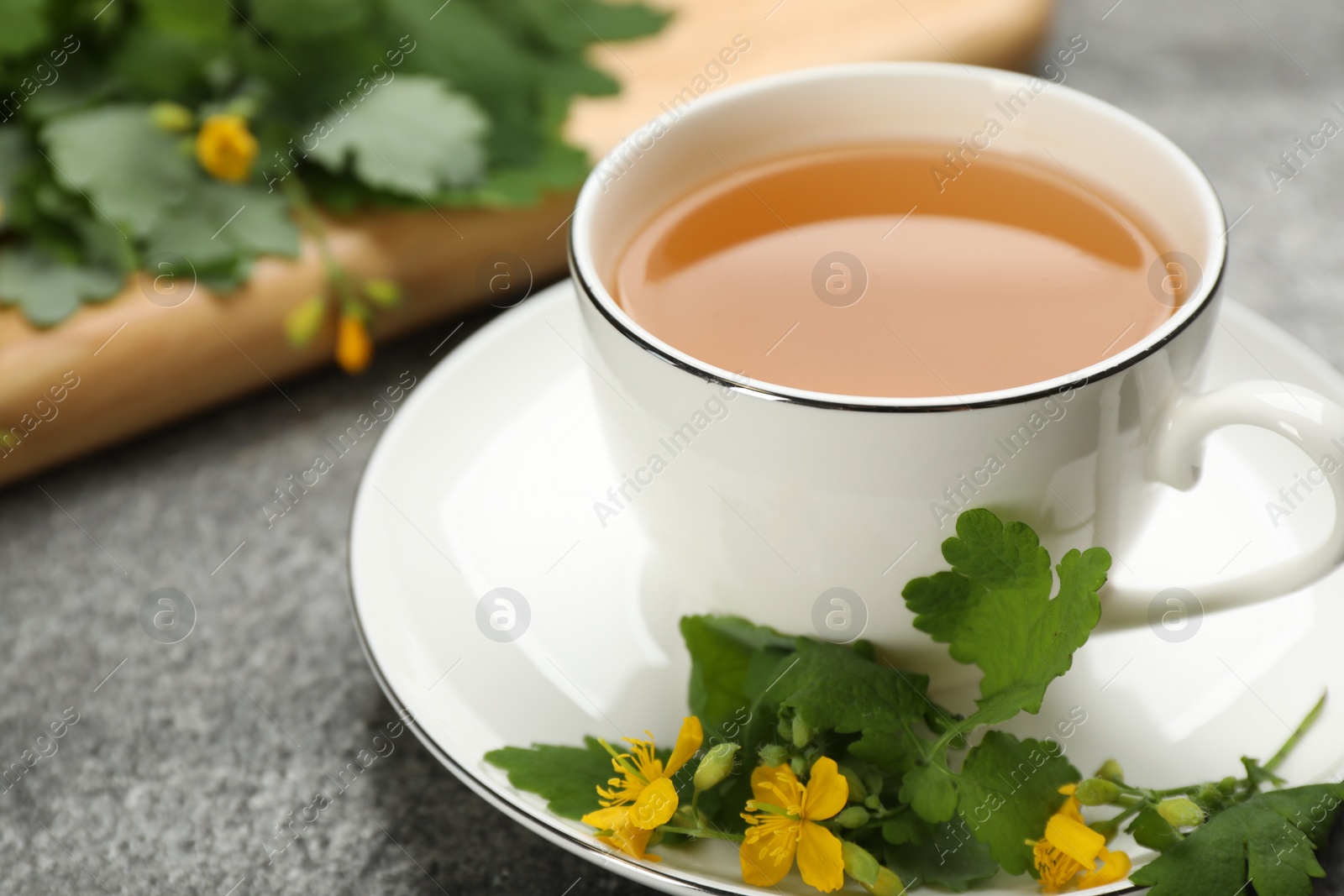 Photo of Cup of aromatic celandine tea and flowers on grey table, closeup. Space for text