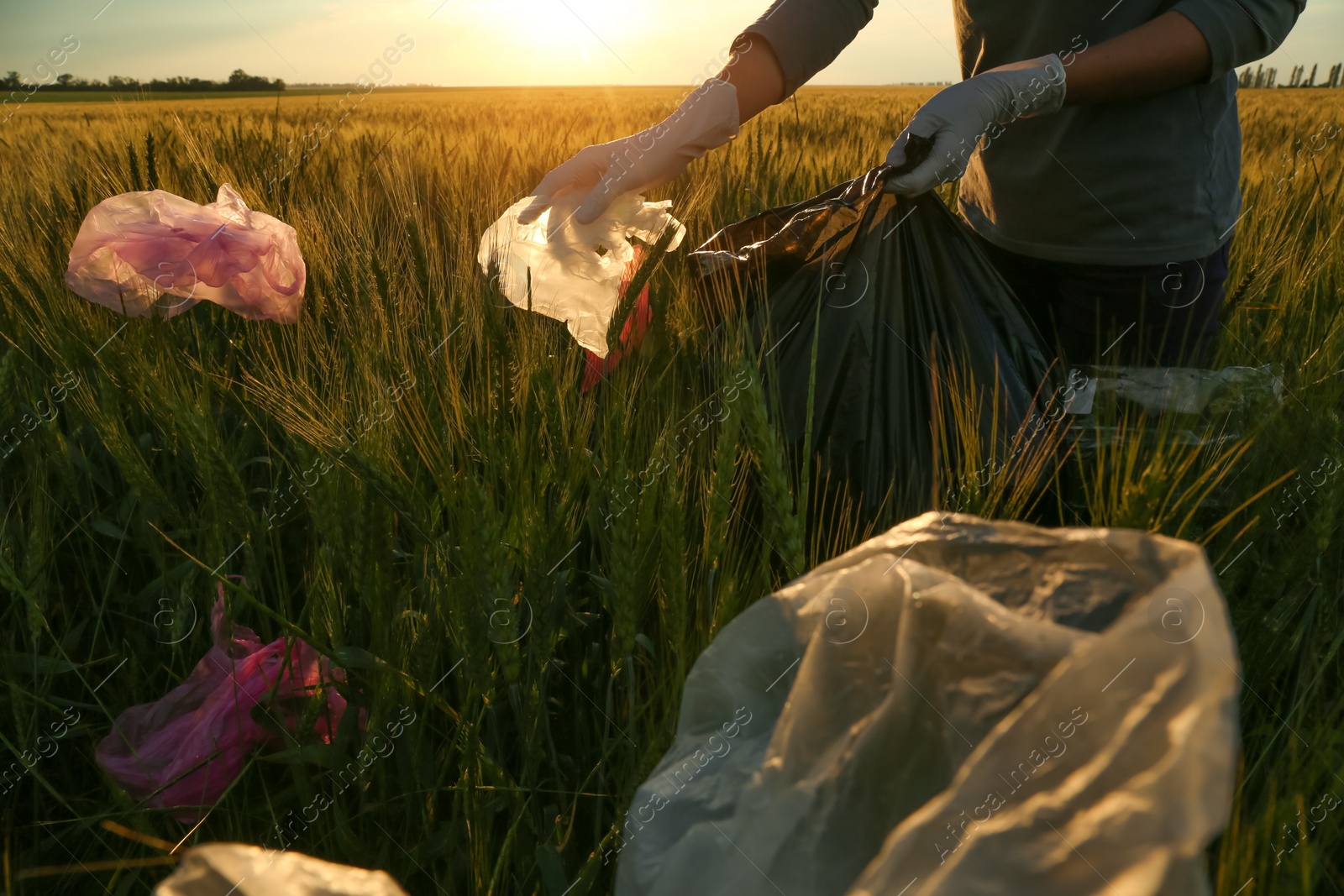 Photo of Woman collecting garbage in wheat field, closeup