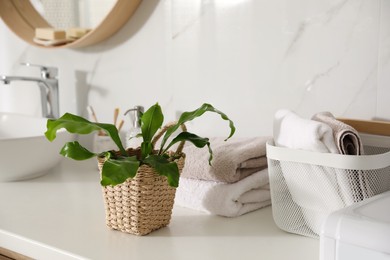 Beautiful green fern and towels on countertop in bathroom