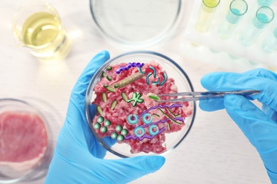 Scientist holding Petri dish with forcemeat and microbes over table, top view