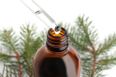 Dripping pine essential oil into glass bottle on white background, closeup