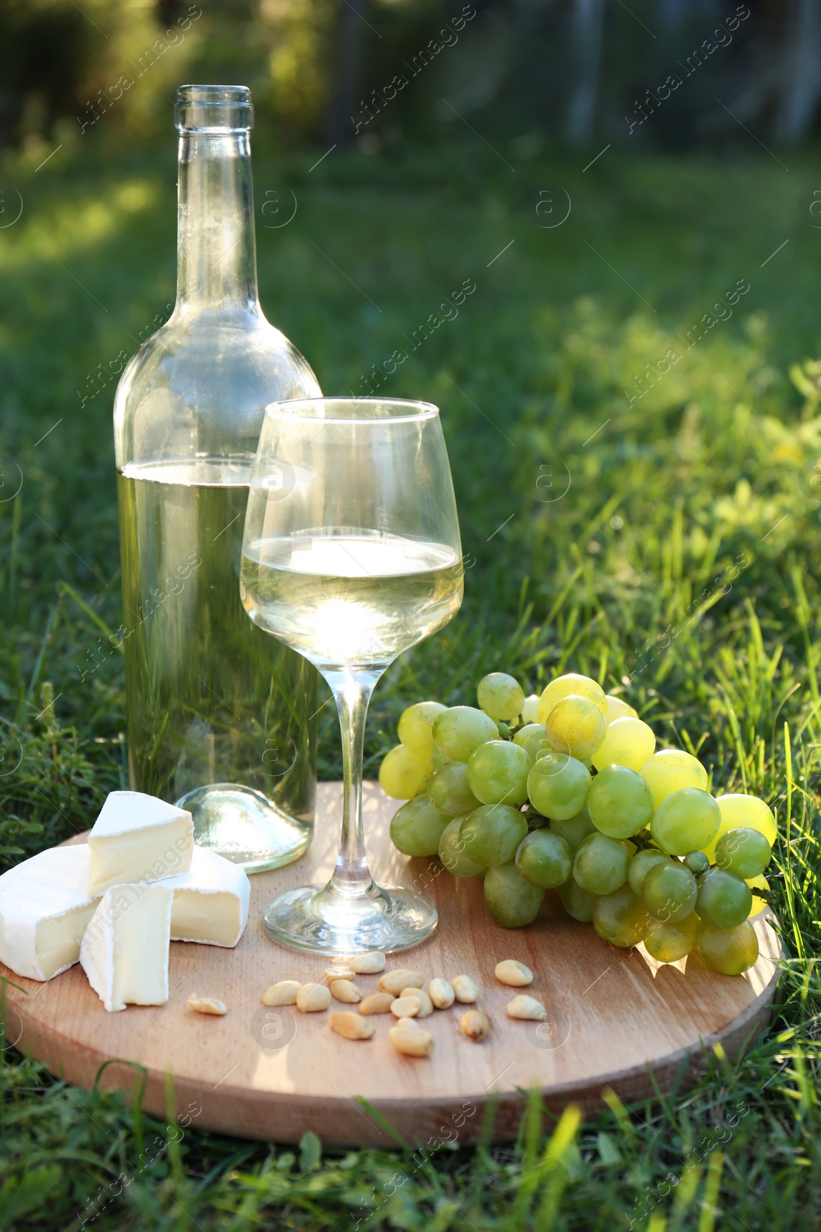 Photo of Delicious white wine, grapes, cheese and nuts on green grass outdoors