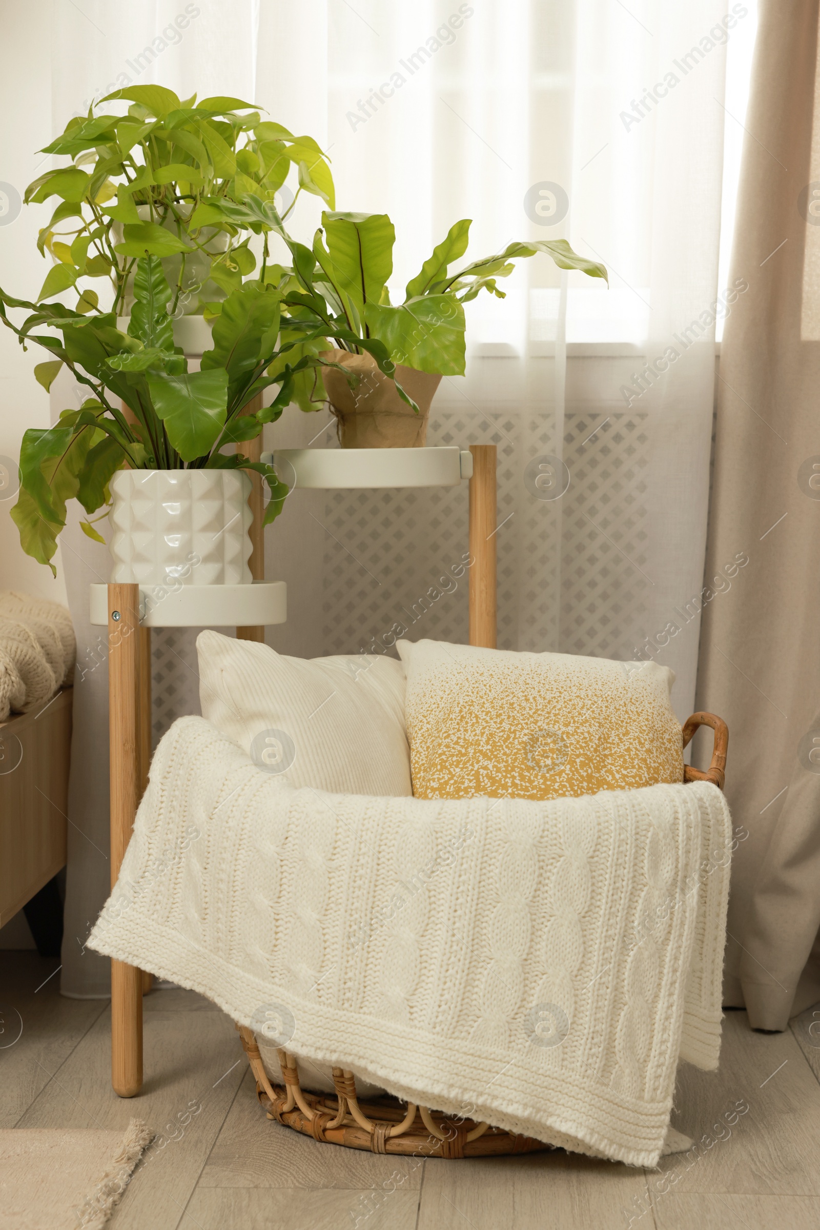 Photo of Stylish room interior with beautiful houseplants and wicker basket