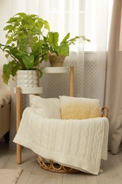 Stylish room interior with beautiful houseplants and wicker basket