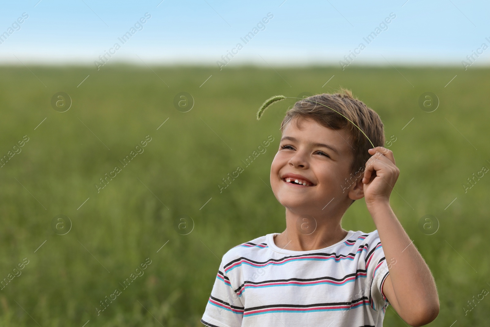 Photo of Cute little boy with spikelet in field, space for text. Child spending time in nature