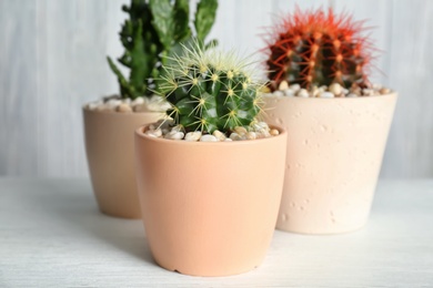 Beautiful cacti on table