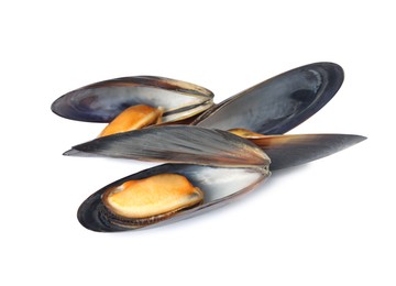 Delicious cooked mussels in shells on white background