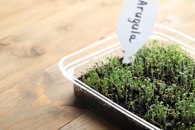 Photo of Young arugula sprouts in container on wooden table, closeup. Space for text