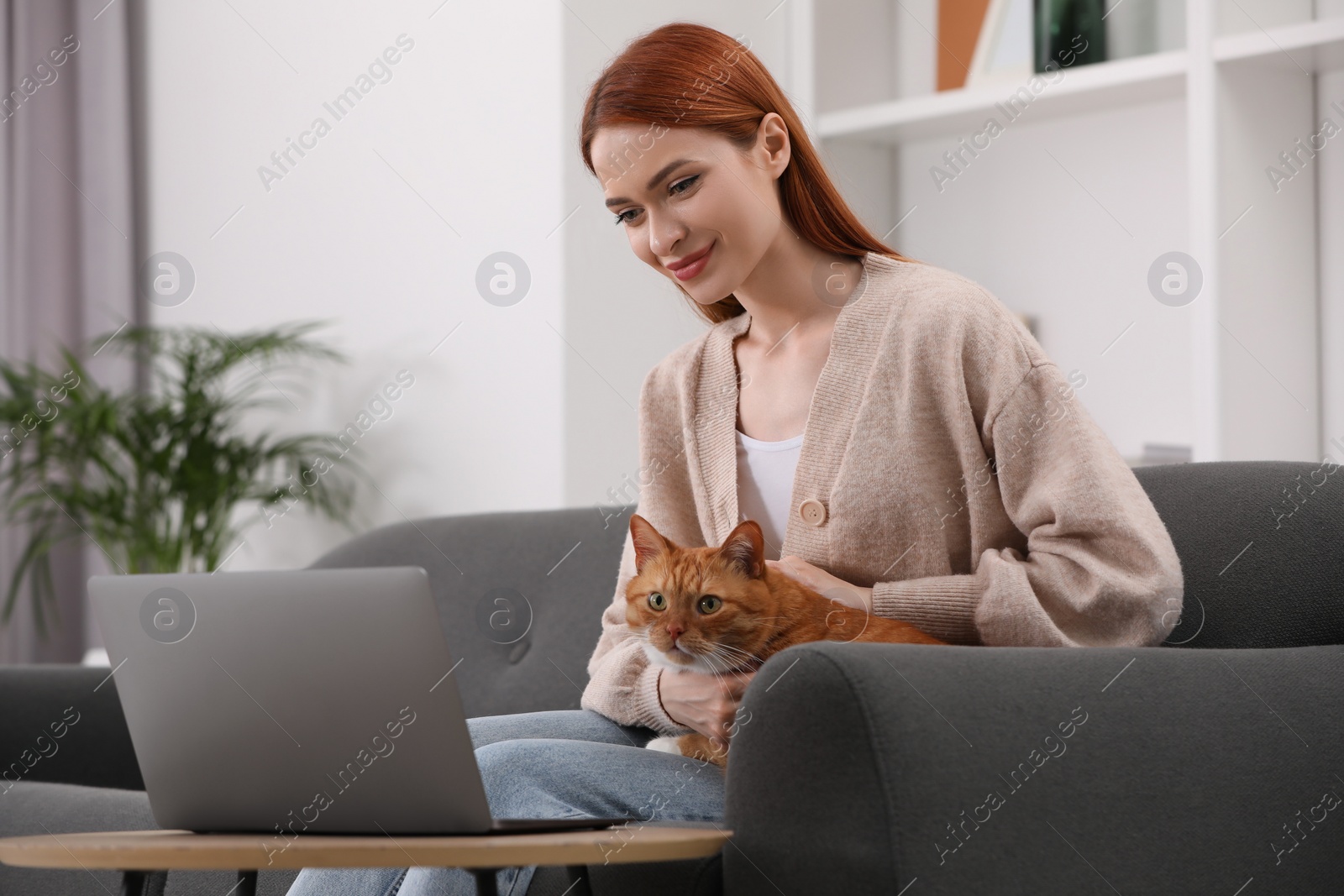 Photo of Woman stroking cat while working on sofa at home