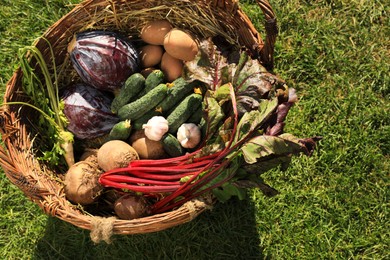 Photo of Different fresh ripe vegetables in wicker basket on green grass, above view