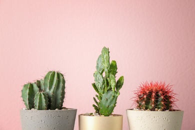 Photo of Beautiful cactuses in pots on color background