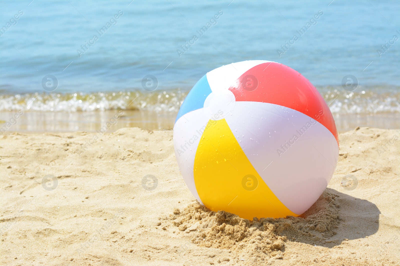 Photo of Wet colorful beach ball at seaside on sunny day, space for text