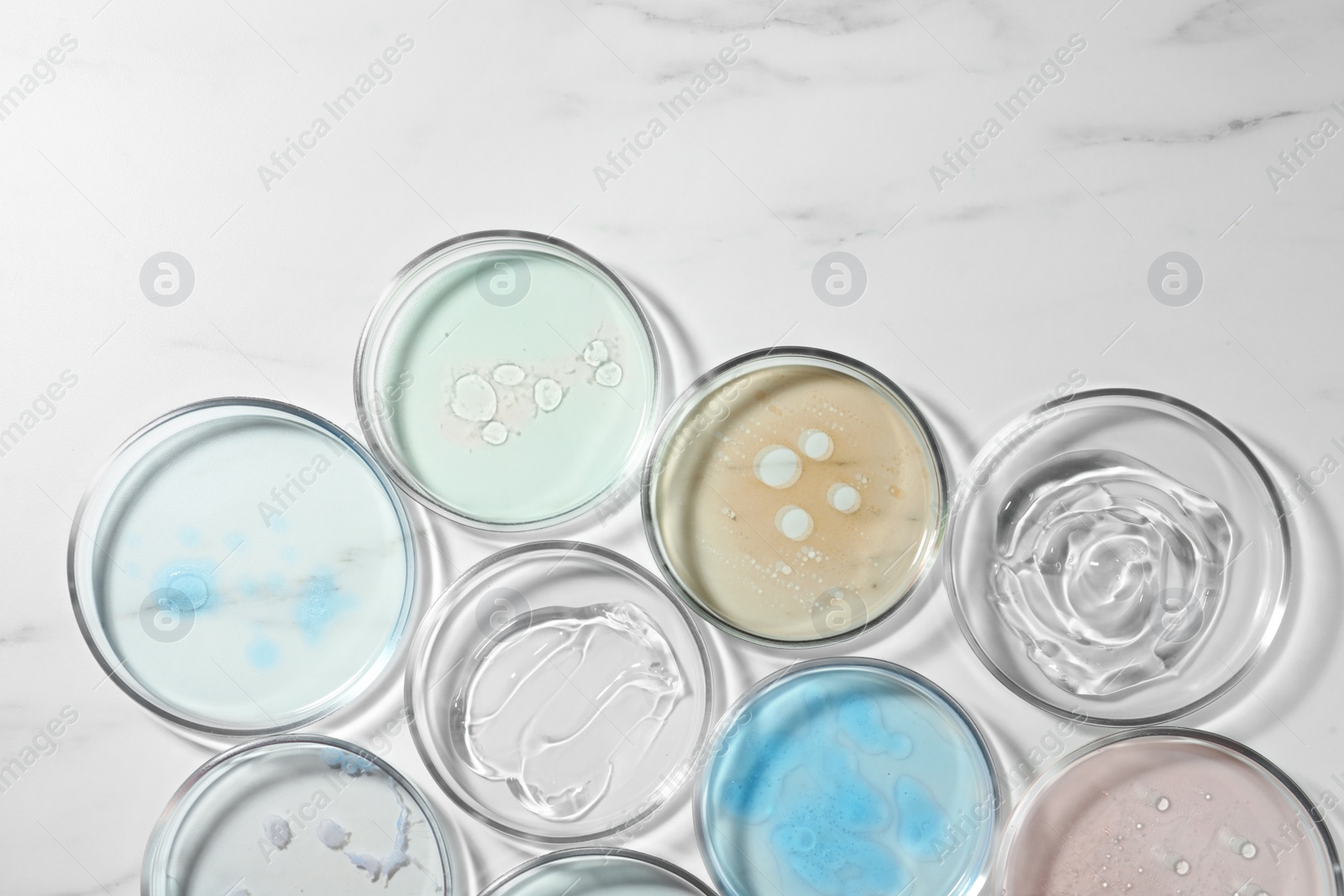 Photo of Petri dishes with liquids on white marble table, flat lay