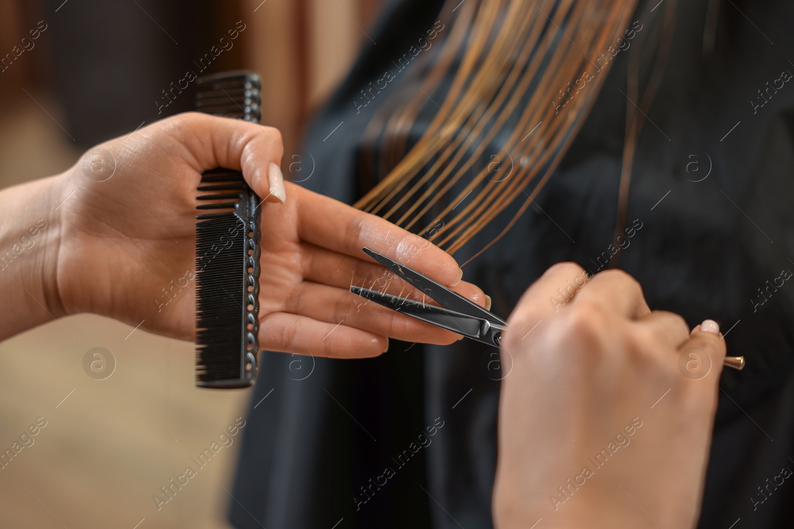 Photo of Professional hairdresser cutting girl's hair in beauty salon, closeup