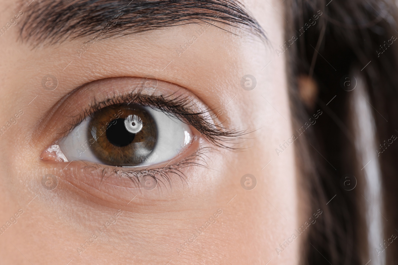 Photo of Young woman with beautiful natural eyelashes, closeup view