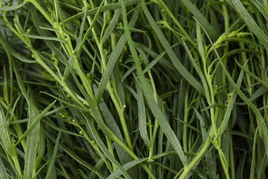 Fresh tarragon sprigs as background, closeup view