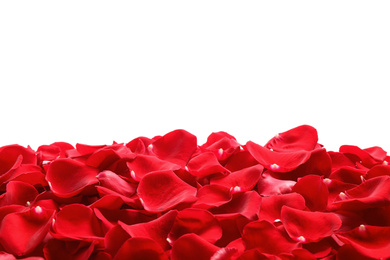 Pile of red rose petals on white background