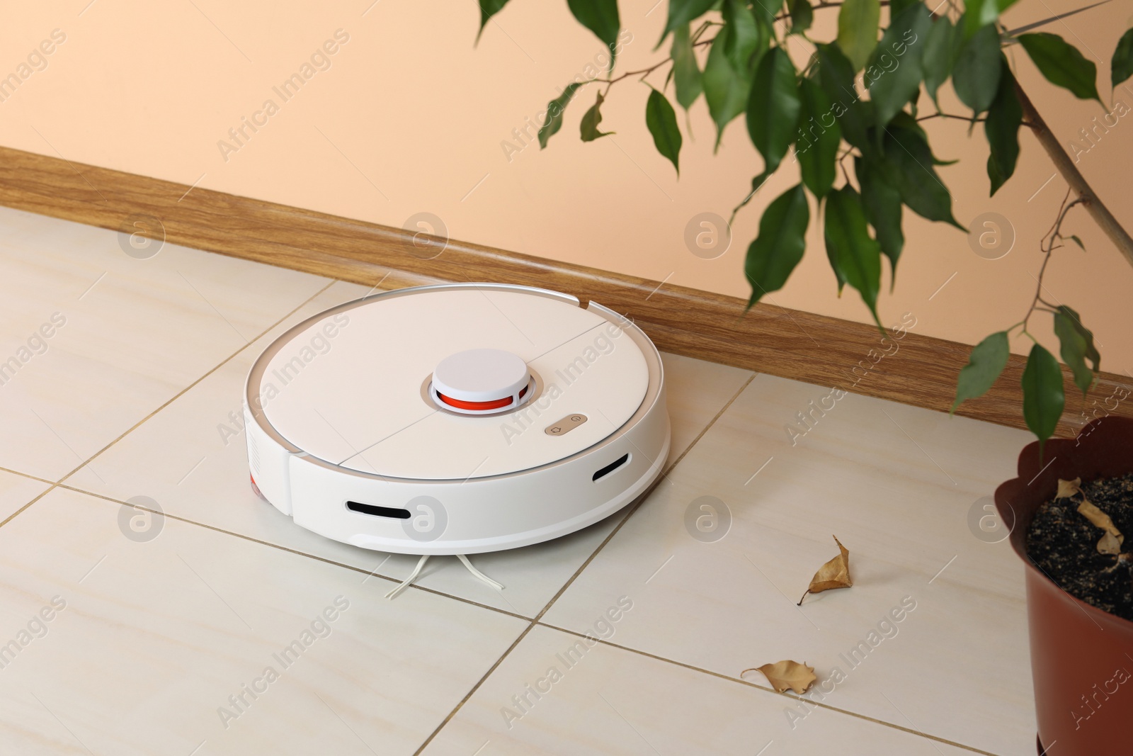 Photo of Robotic vacuum cleaner and fallen yellow leaves near houseplant indoors