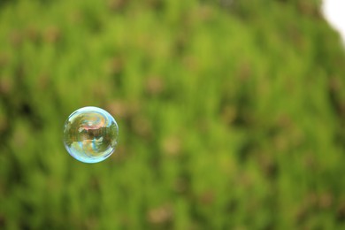 Beautiful soap bubble floating outdoors. Space for text