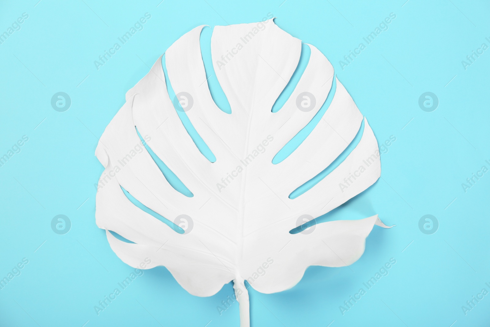 Photo of Painted tropical Monstera leaf on color background, top view