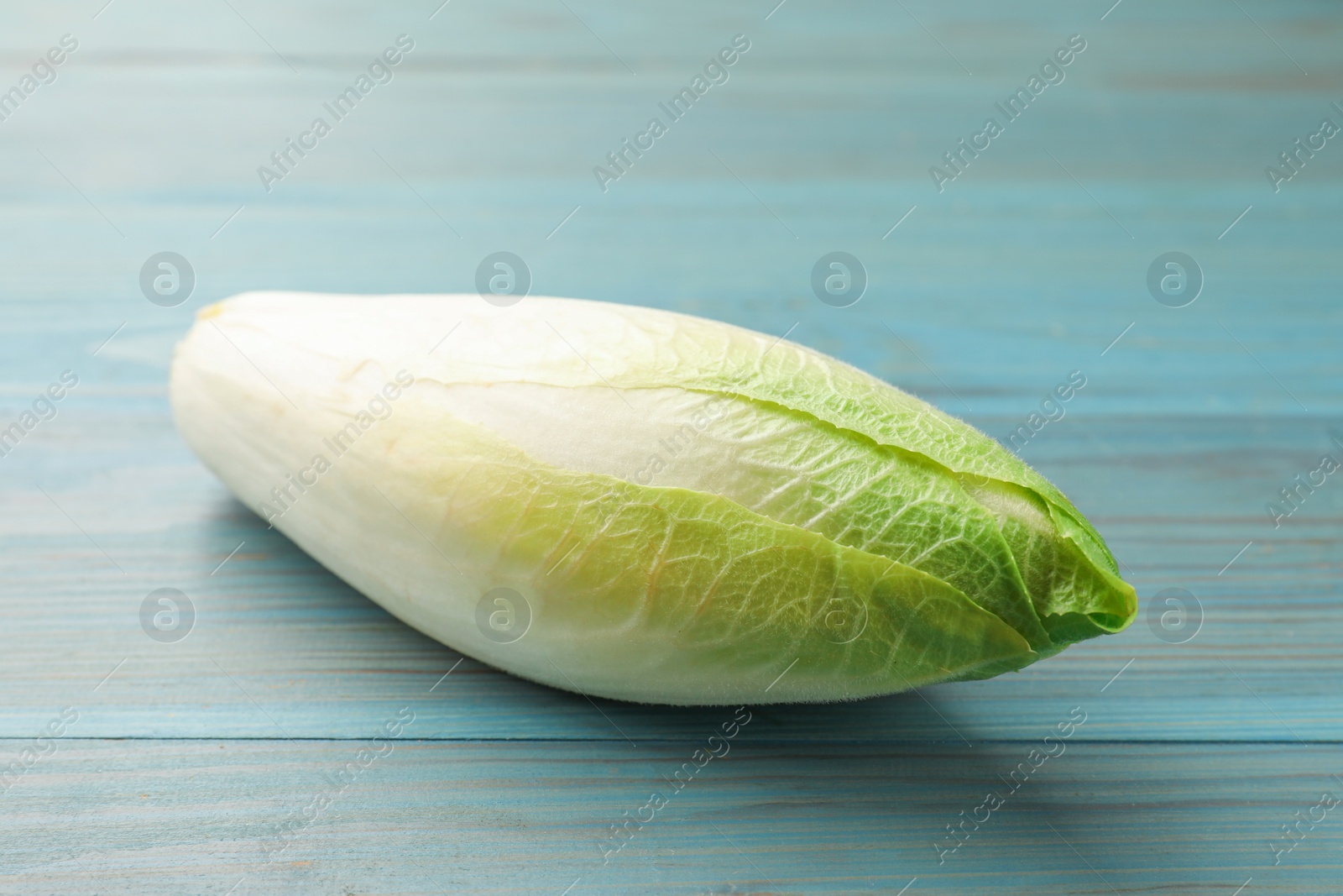 Photo of Fresh raw Belgian endive (chicory) on light blue wooden table