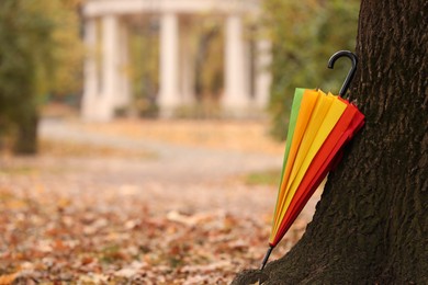 Closed rainbow umbrella near tree in autumn park, space for text