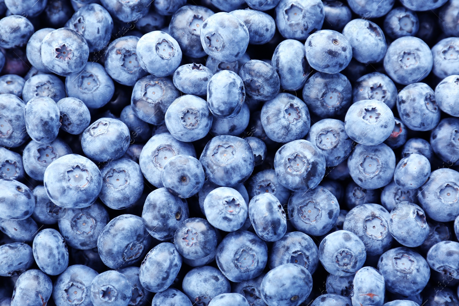 Photo of Tasty blueberry as background, close up view