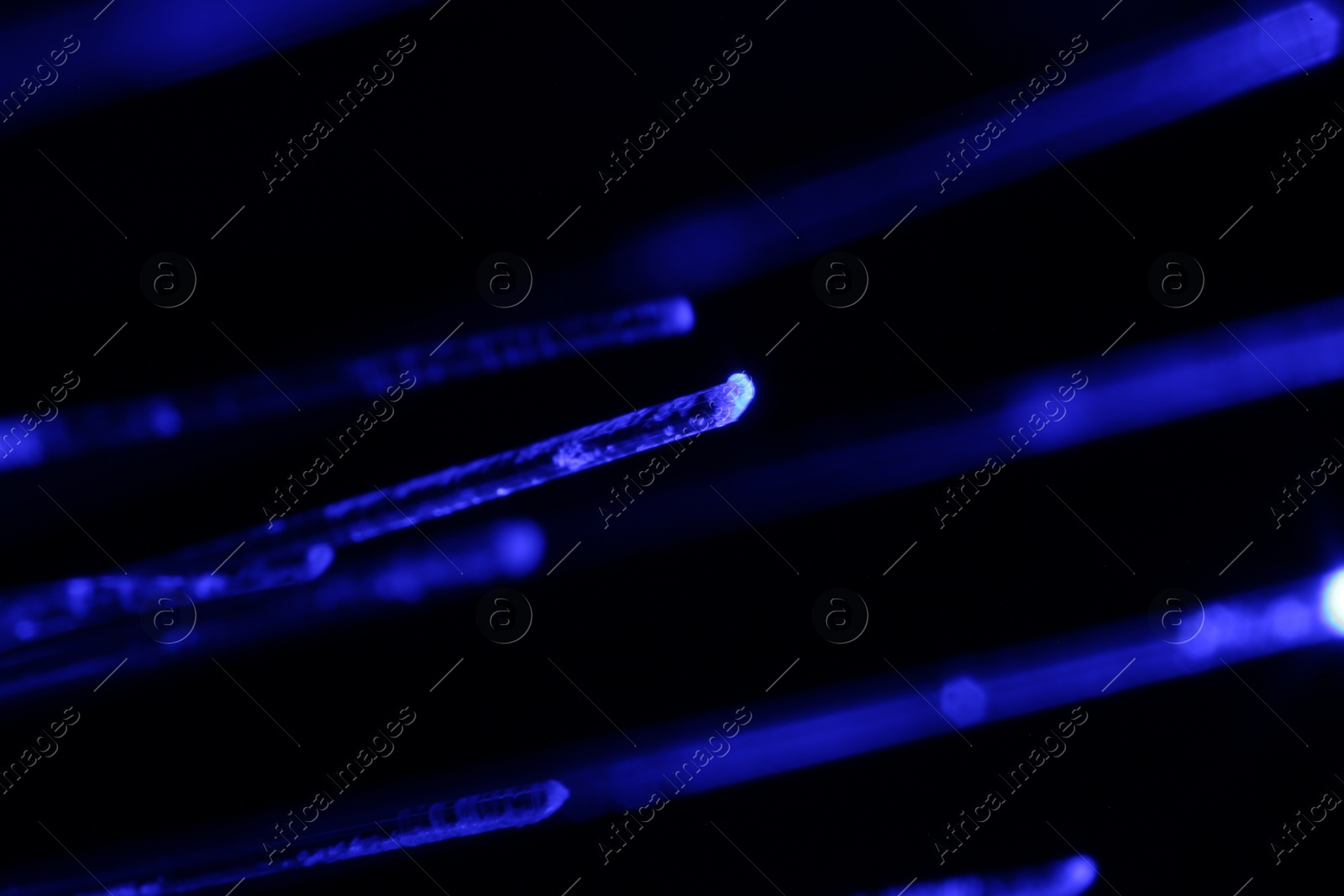 Photo of Optical fiber strands transmitting blue light on black background, macro view