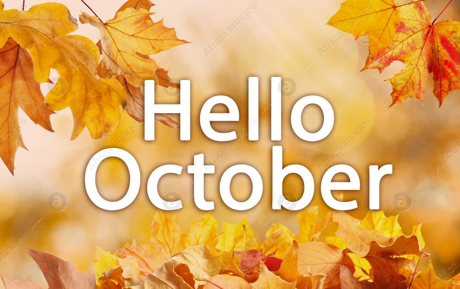 Image of Text Hello October and golden autumn leaves on blurred background 