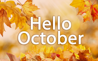 Image of Text Hello October and golden autumn leaves on blurred background 