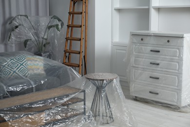 Photo of Modern furniture, houseplant covered with plastic film and step ladder at home