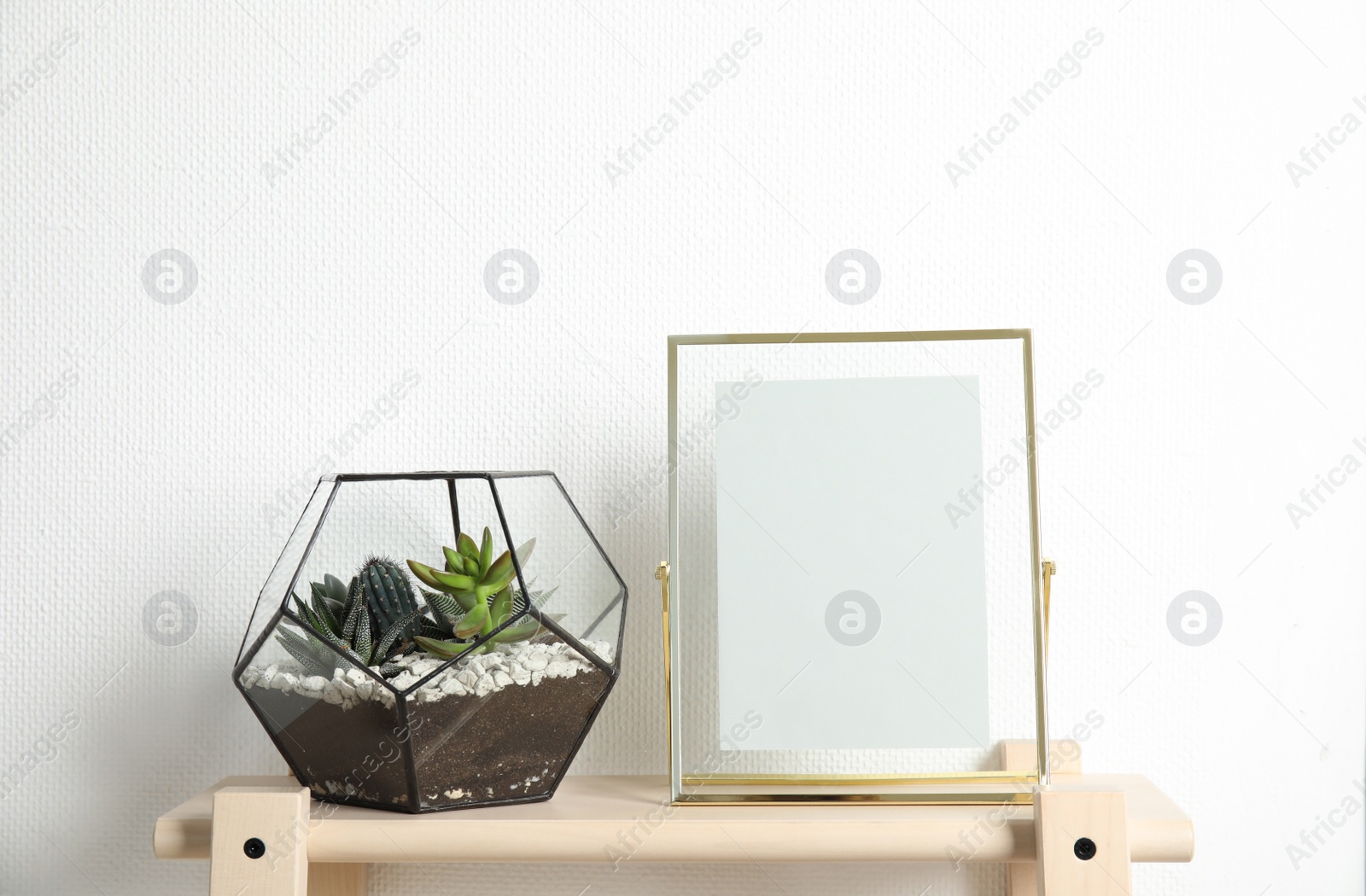Photo of Florarium with succulent plants and photo frame on table near white wall, space for design. Home decor