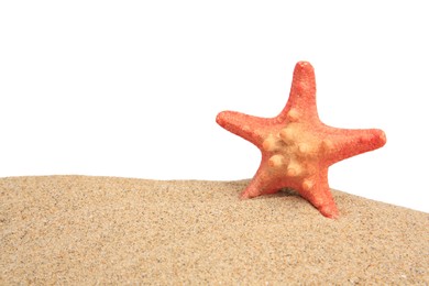 Photo of Beautiful sea star (starfish) in sand isolated on white