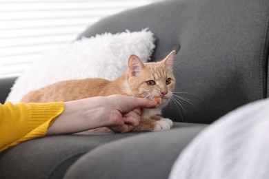 Photo of Woman giving treat to her cute ginger cat on sofa at home, closeup