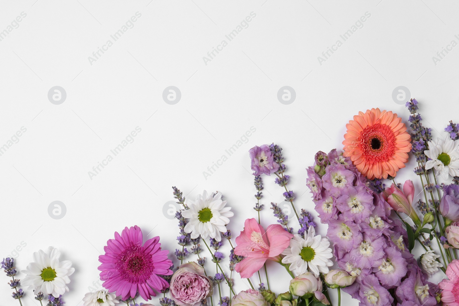 Photo of Flat lay composition with different beautiful flowers on white background, space for text