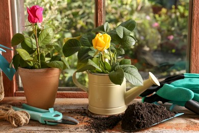 Watering cans with beautiful roses on wooden windowsill